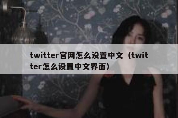 twitter官网怎么设置中文（twitter怎么设置中文界面） 第1张