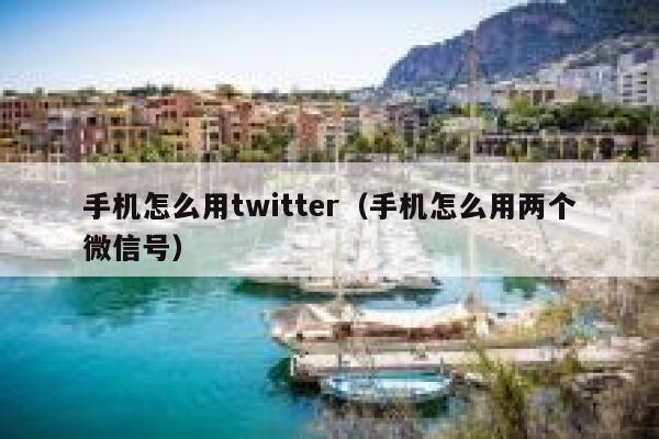 手机怎么用twitter（手机怎么用两个微信号） 第1张
