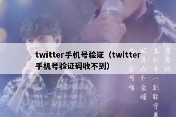 twitter手机号验证（twitter手机号验证码收不到） 第1张