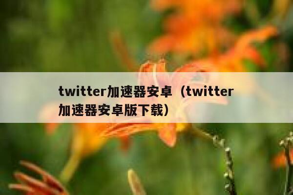 twitter加速器安卓（twitter加速器安卓版下载） 第1张