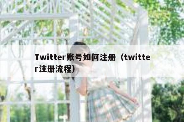 Twitter账号如何注册（twitter注册流程） 第1张