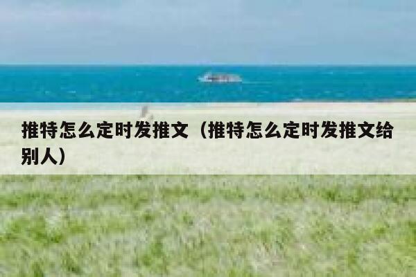 推特怎么定时发推文（推特怎么定时发推文给别人） 第1张