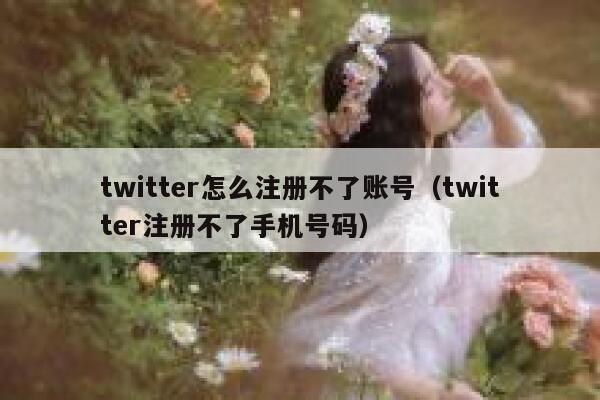 twitter怎么注册不了账号（twitter注册不了手机号码） 第1张