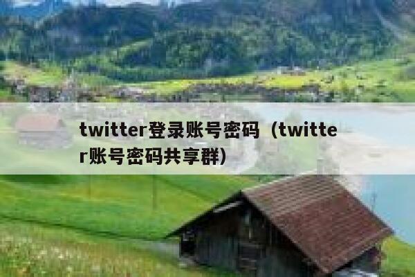 twitter登录账号密码（twitter账号密码共享群） 第1张