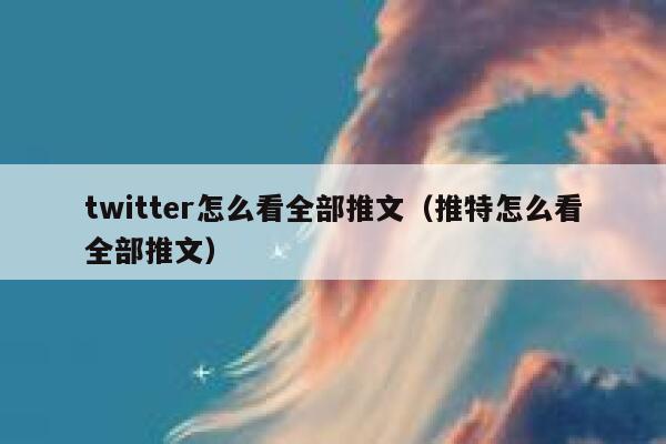 twitter怎么看全部推文（推特怎么看全部推文） 第1张
