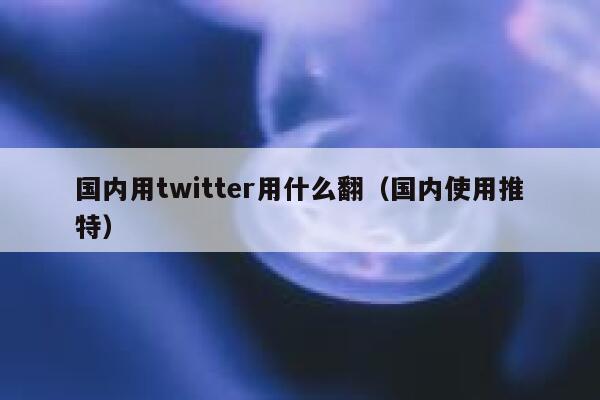 国内用twitter用什么翻（国内使用推特） 第1张