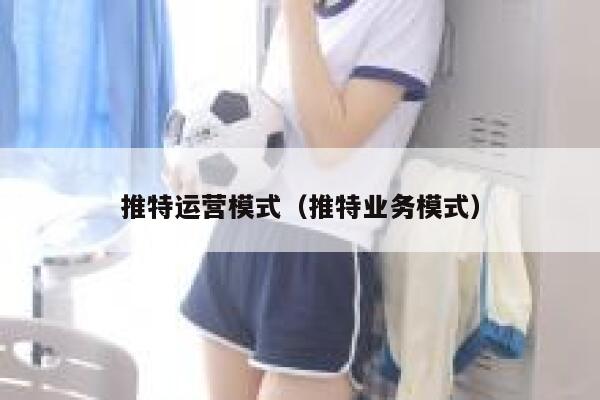 推特运营模式（推特业务模式） 第1张