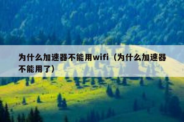 为什么加速器不能用wifi（为什么加速器不能用了） 第1张