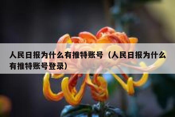 人民日报为什么有推特账号（人民日报为什么有推特账号登录） 第1张