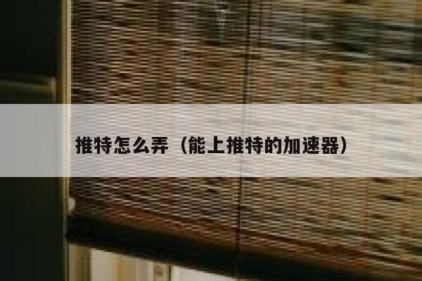 推特怎么弄（能上推特的加速器） 第1张