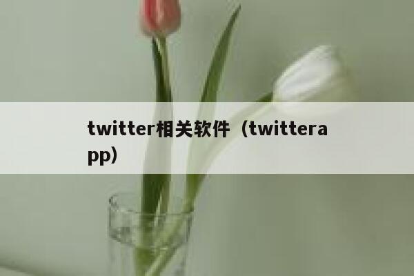 twitter相关软件（twitterapp） 第1张
