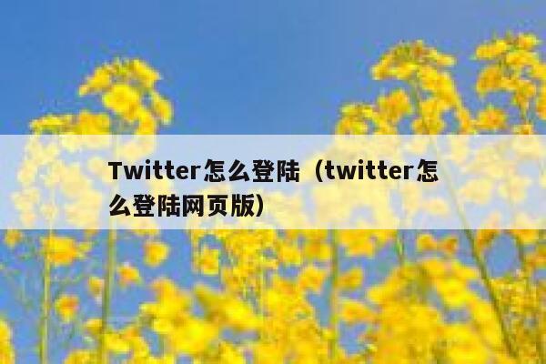 Twitter怎么登陆（twitter怎么登陆网页版） 第1张