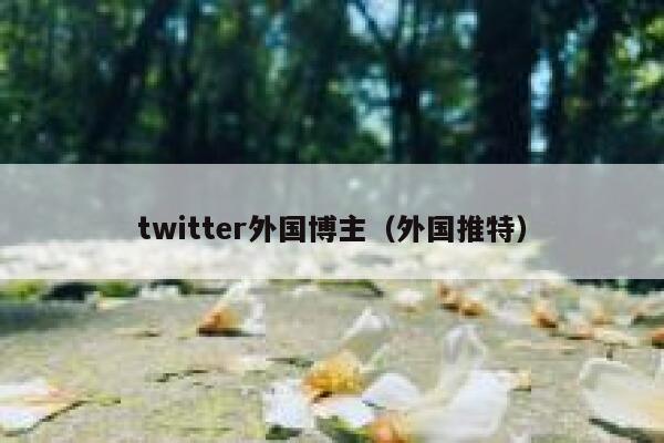 twitter外国博主（外国推特） 第1张