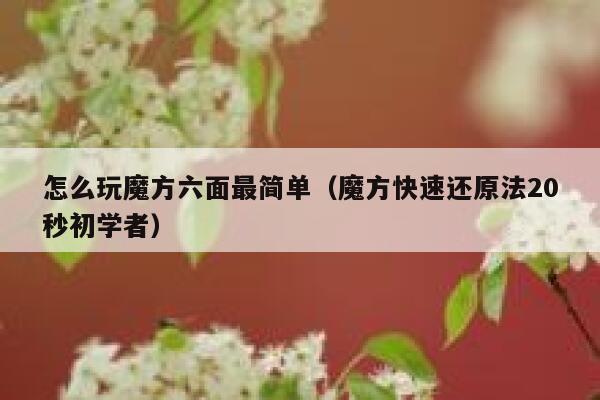 怎么玩魔方六面最简单（魔方快速还原法20秒初学者） 第1张