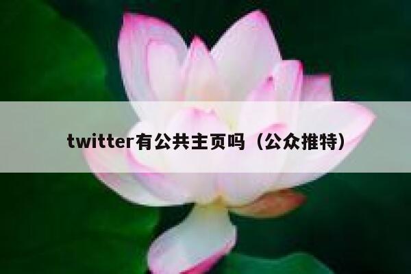 twitter有公共主页吗（公众推特） 第1张
