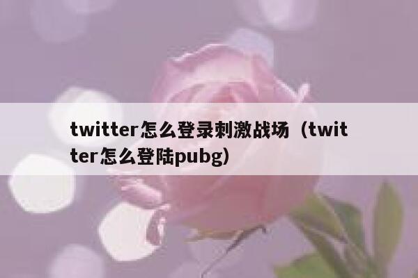 twitter怎么登录刺激战场（twitter怎么登陆pubg） 第1张