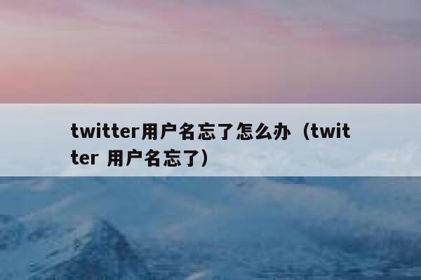 twitter用户名忘了怎么办（twitter 用户名忘了） 第1张