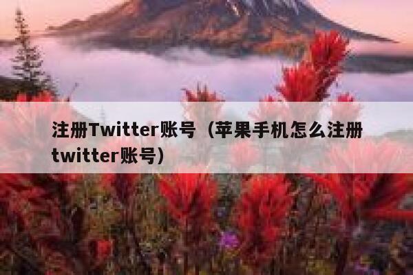 注册Twitter账号（苹果手机怎么注册twitter账号） 第1张