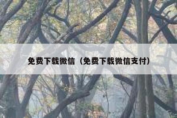免费下载微信（免费下载微信支付） 第1张