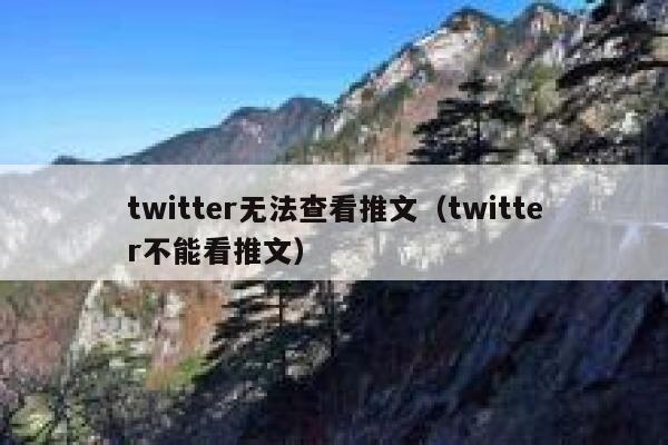 twitter无法查看推文（twitter不能看推文） 第1张