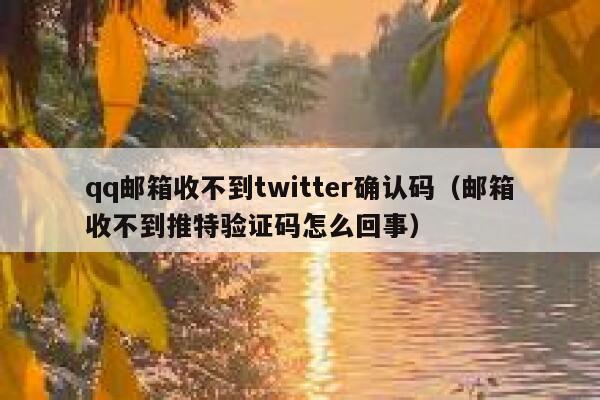 qq邮箱收不到twitter确认码（邮箱收不到推特验证码怎么回事） 第1张