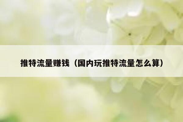 推特流量赚钱（国内玩推特流量怎么算） 第1张