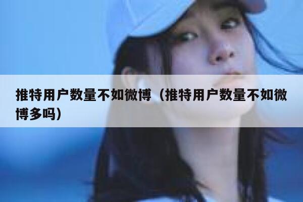 推特用户数量不如微博（推特用户数量不如微博多吗） 第1张