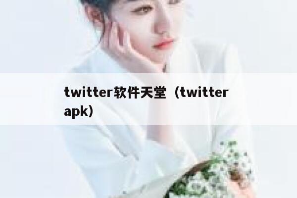 twitter软件天堂（twitter apk） 第1张
