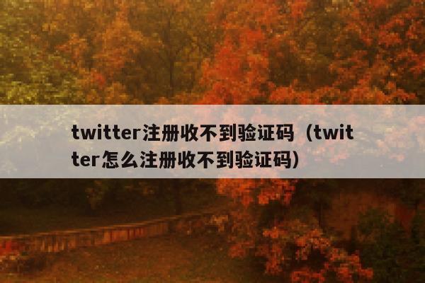 twitter注册收不到验证码（twitter怎么注册收不到验证码） 第1张