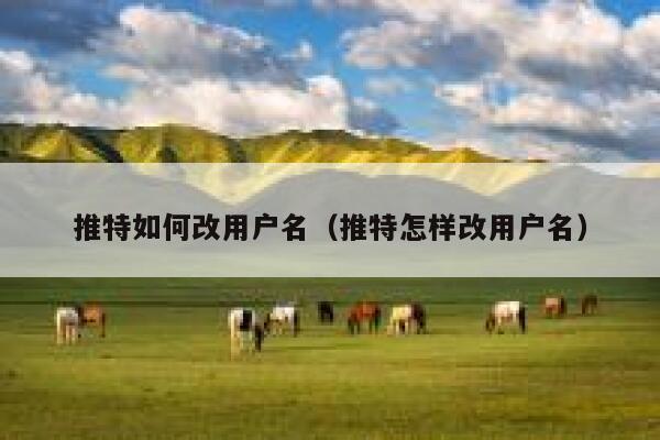 推特如何改用户名（推特怎样改用户名） 第1张