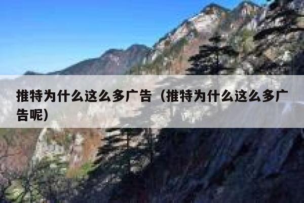 推特为什么这么多广告（推特为什么这么多广告呢） 第1张