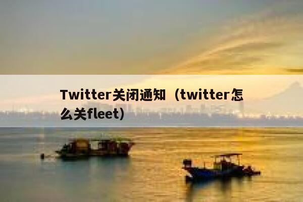 Twitter关闭通知（twitter怎么关fleet） 第1张