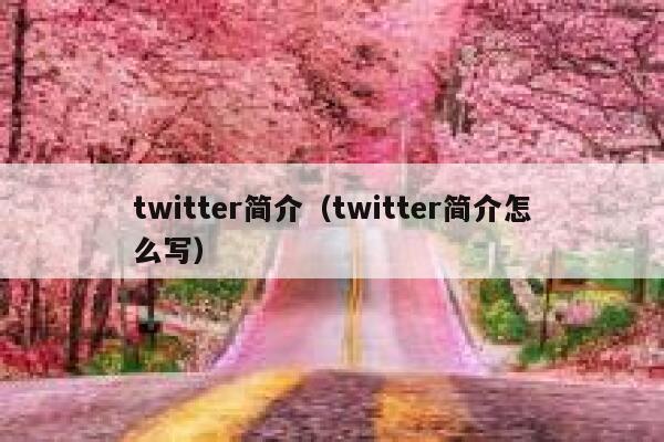 twitter简介（twitter简介怎么写） 第1张