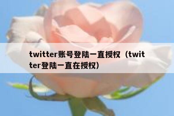 twitter账号登陆一直授权（twitter登陆一直在授权） 第1张