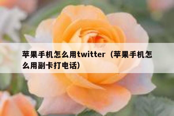 苹果手机怎么用twitter（苹果手机怎么用副卡打电话） 第1张