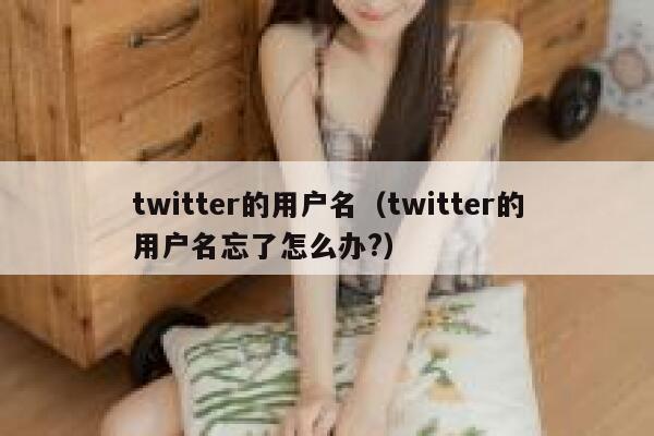 twitter的用户名（twitter的用户名忘了怎么办?） 第1张