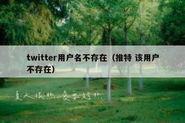 twitter用户名不存在（推特 该用户不存在） 第1张