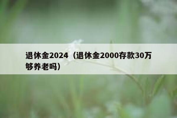 退休金2024（退休金2000存款30万够养老吗） 第1张