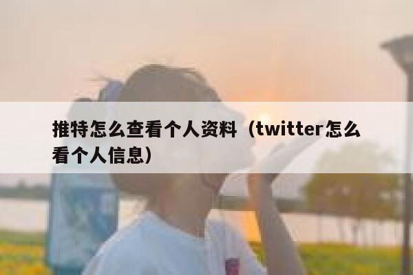 推特怎么查看个人资料（twitter怎么看个人信息） 第1张