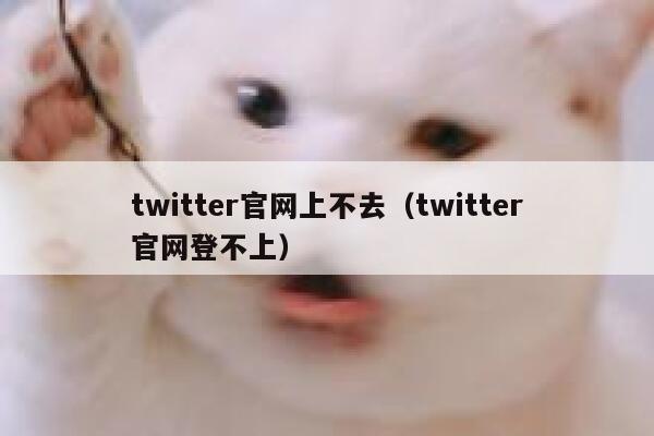 twitter官网上不去（twitter官网登不上） 第1张