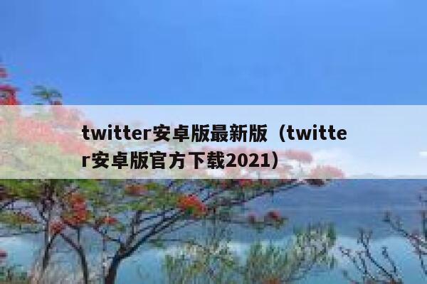 twitter安卓版最新版（twitter安卓版官方下载2021） 第1张