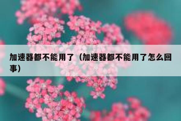 加速器都不能用了（加速器都不能用了怎么回事） 第1张