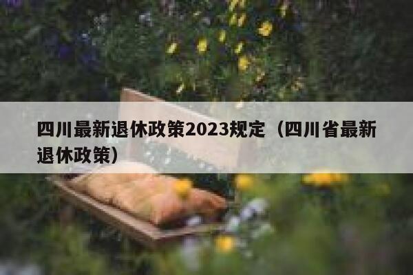 四川最新退休政策2023规定（四川省最新退休政策） 第1张