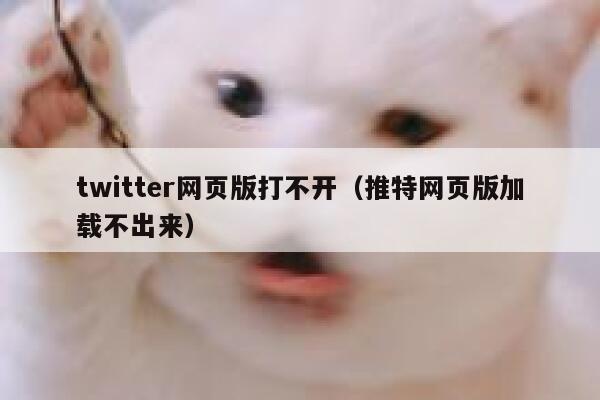 twitter网页版打不开（推特网页版加载不出来） 第1张