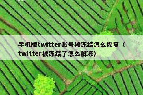手机版twitter账号被冻结怎么恢复（twitter被冻结了怎么解冻） 第1张