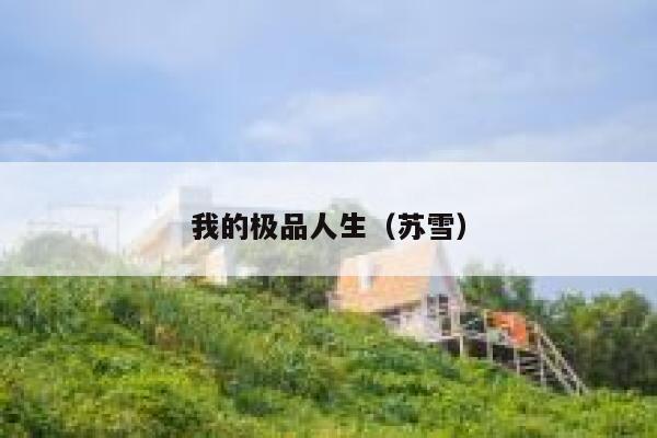 我的极品人生（苏雪） 第1张