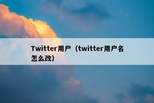 Twitter用户（twitter用户名怎么改） 第1张