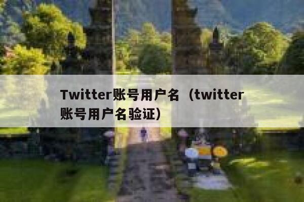 Twitter账号用户名（twitter账号用户名验证） 第1张