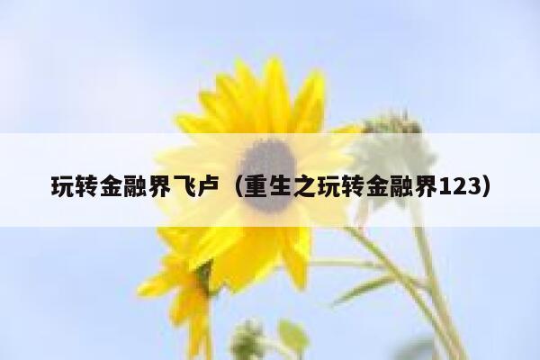玩转金融界飞卢（重生之玩转金融界123） 第1张