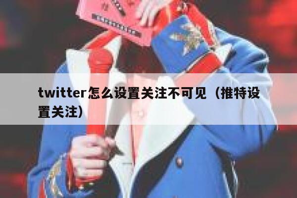 twitter怎么设置关注不可见（推特设置关注） 第1张